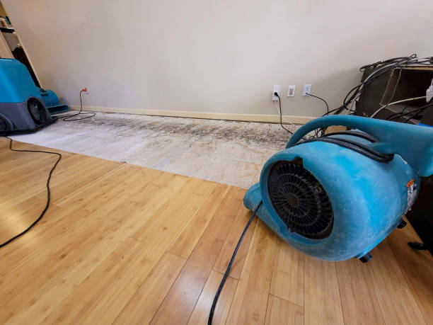 Professional Emergency Water Damage technician working in Peterson, MN